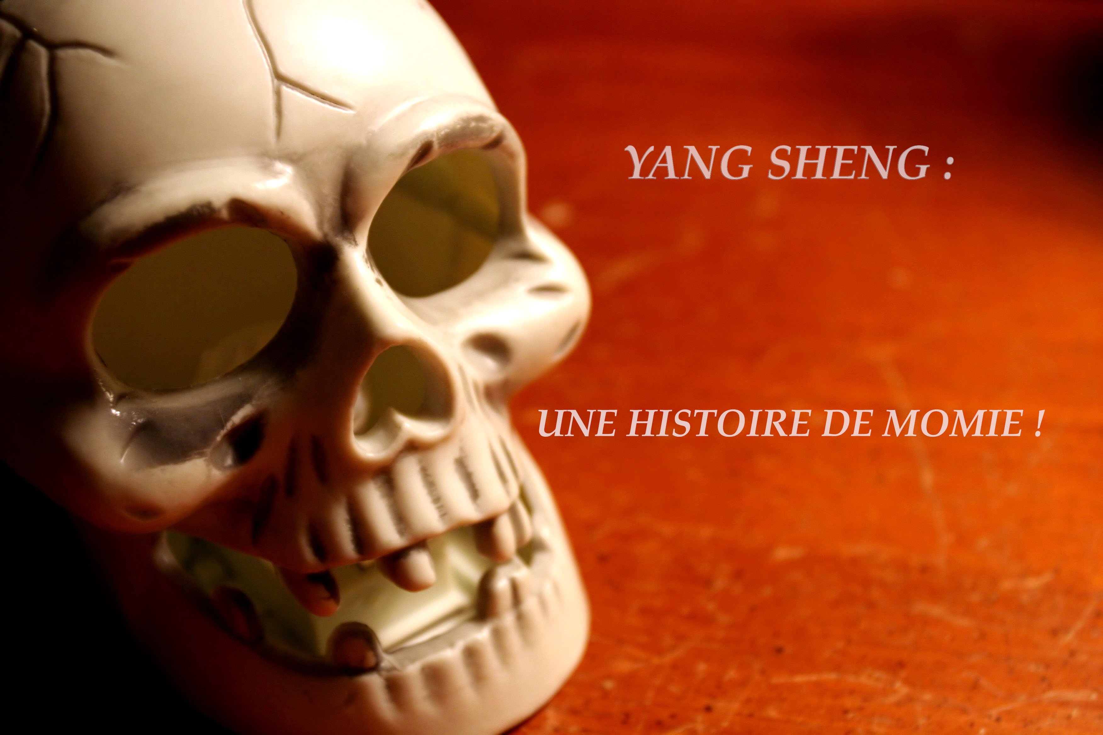 You are currently viewing YANG SHENG: UNE HISTOIRE DE MOMIE !