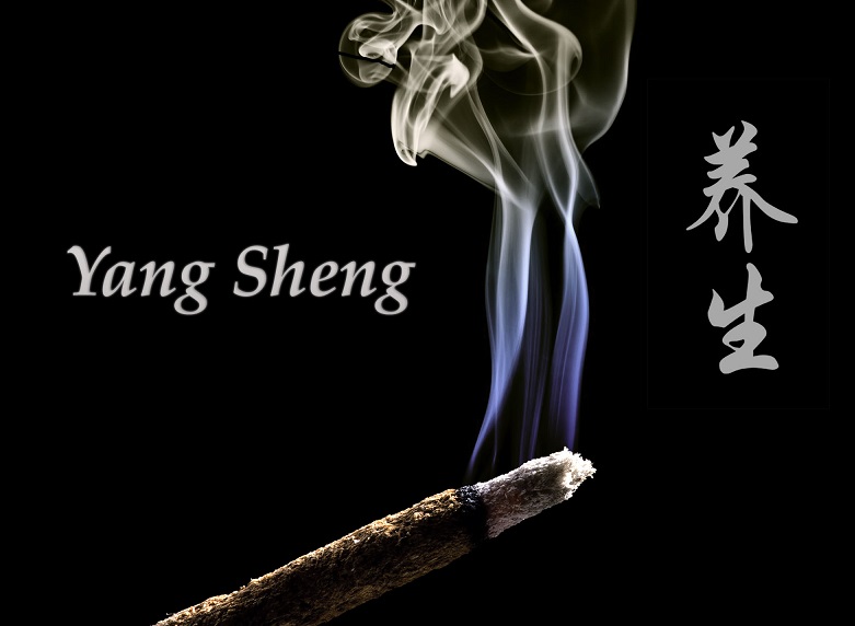You are currently viewing YANG SHENG: le début d’une longue histoire!