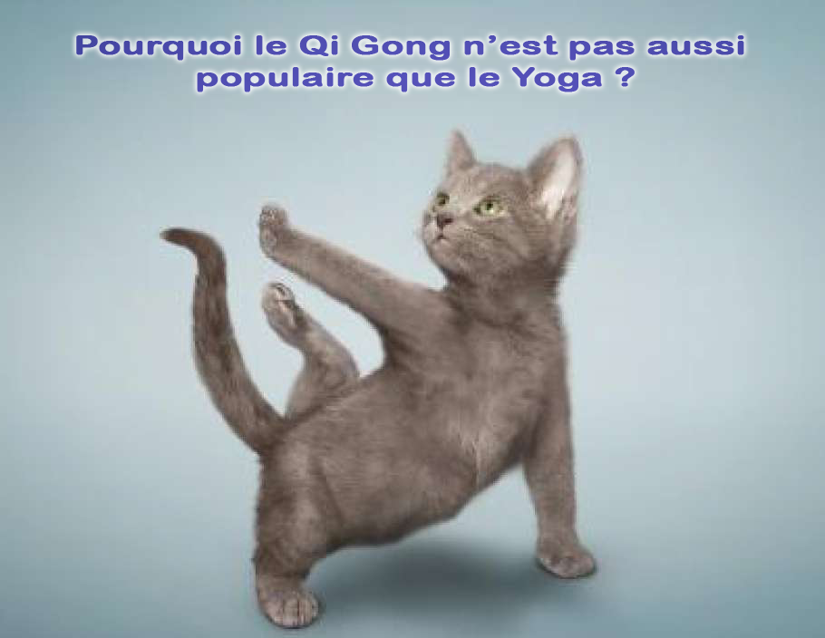 You are currently viewing Pourquoi le Qi Gong n’est pas aussi populaire que le Yoga ?