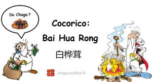 Lire la suite à propos de l’article Bai Hua Rong le produit magique?