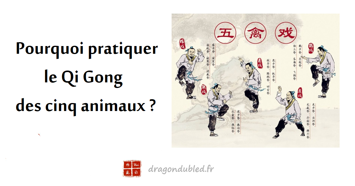 You are currently viewing Pourquoi pratiquer le Qi gong des cinq animaux ?