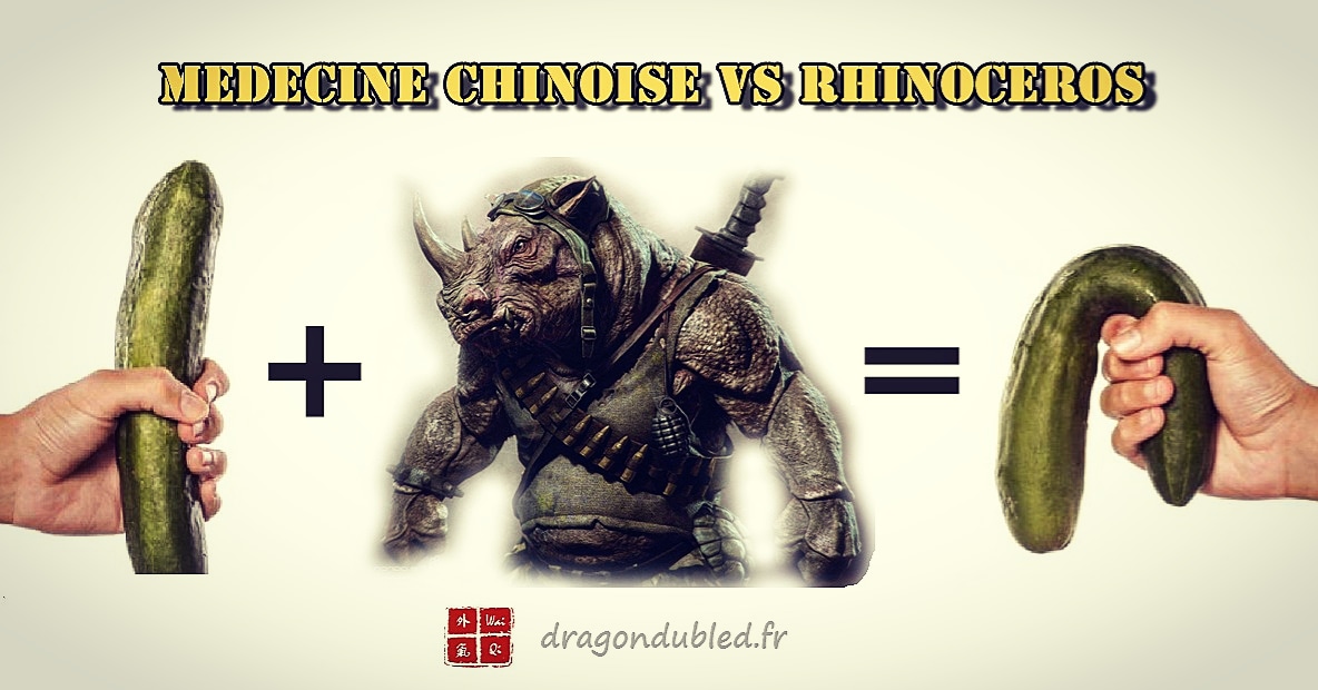 You are currently viewing Rhinocéros vs Médecine Chinoise