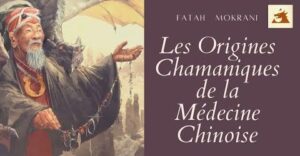 Read more about the article Les origines chamaniques de la Médecine Chinoise