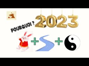 Lire la suite à propos de l’article Pourquoi l’année 2023 est Lapin + Eeau + Yin ?